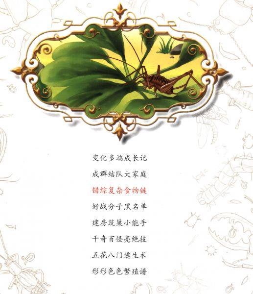 错综复杂食物链/昆虫学校秘密档案