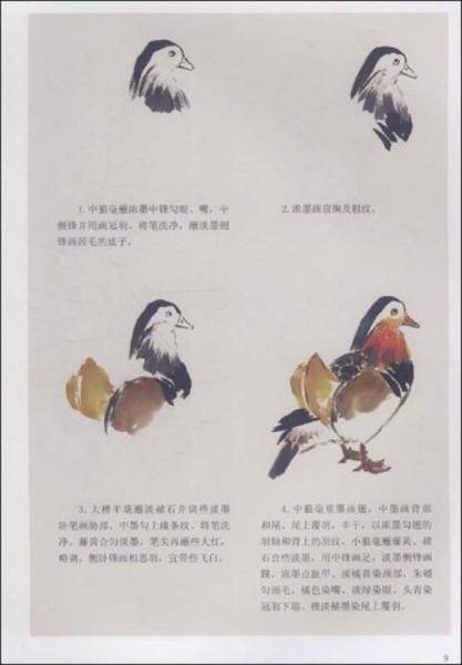 国画大课堂：名家教你画鸳鸯