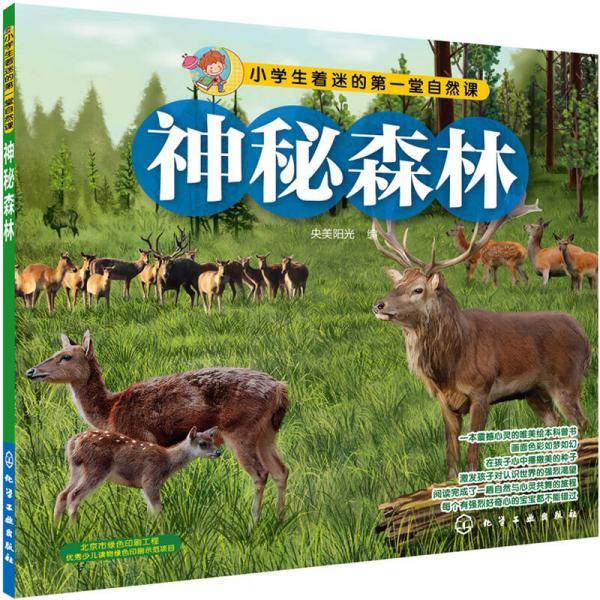 神秘森林