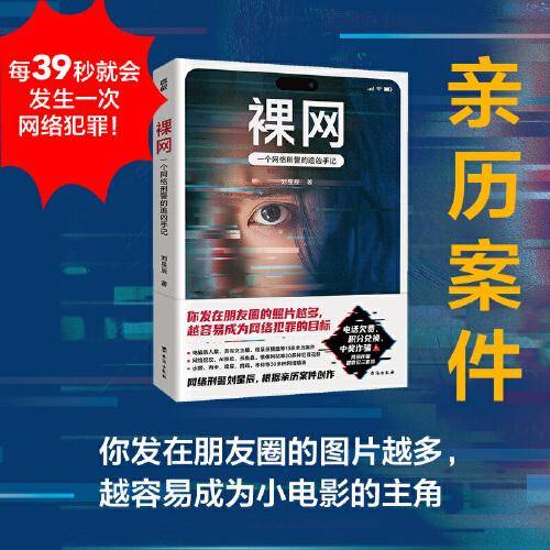 裸网：一个网络刑警的追凶手记