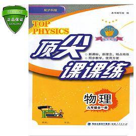 顶尖课课练物理初三9九年级沪科上下全一册