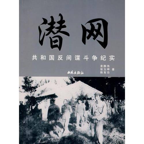潜网