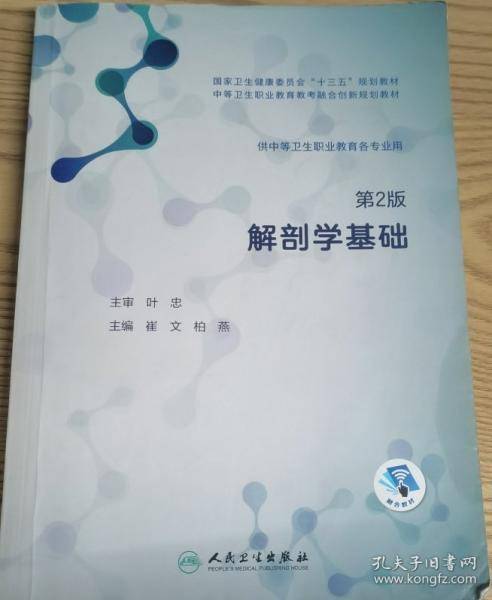 解剖学基础 崔文柏燕