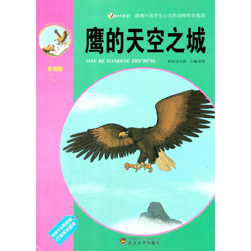 鹰的天空之城