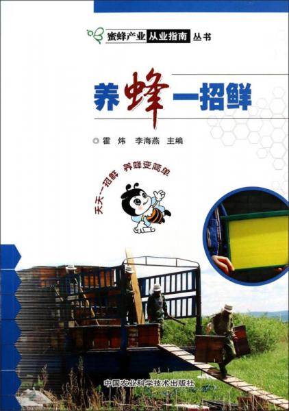 养蜂一招鲜