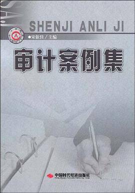 审计案例集