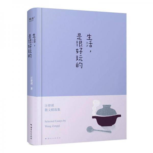 生活，是很好玩的(2024)