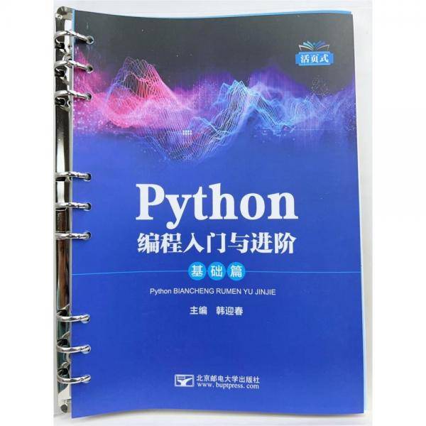Python编程入门与进阶 基础篇 韩迎春主编