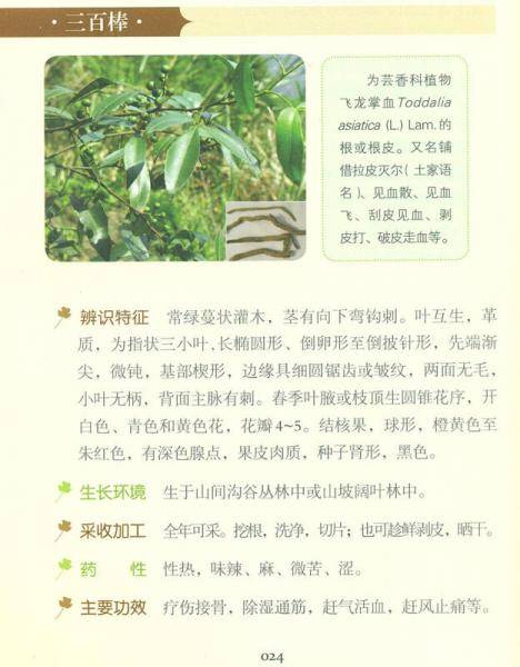 实用土家族药物