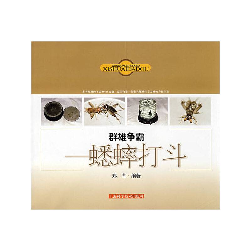 群雄争霸
