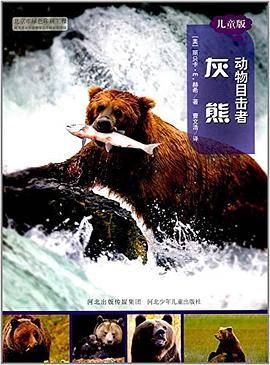 动物目击者系列：灰熊  儿童版