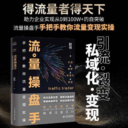 流量操盘手：手把手教你流量变现实操