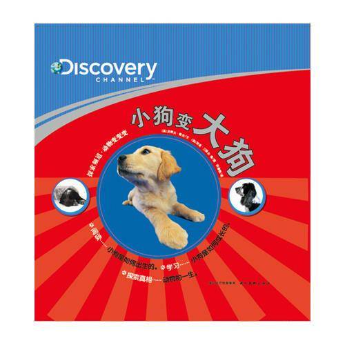 毛毛虫变蝴蝶
