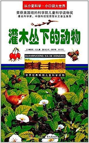 灌木丛下的动物/从小爱科学·小口袋大世界