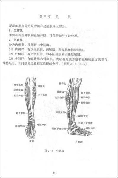 足疗学