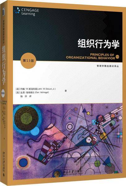 组织行为学(第13版)