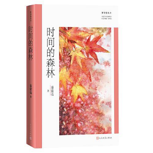 时间的森林(野草莓丛书)