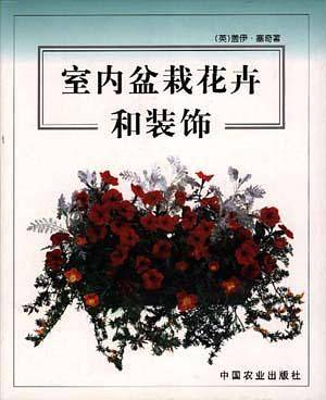 室内盆栽花卉和装饰