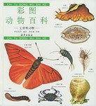 彩图动物百科