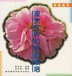 观赏花卉的家庭栽培