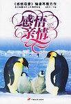 感悟亲情
