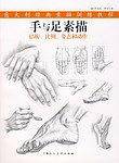 手与足素描