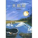 天鹅湖