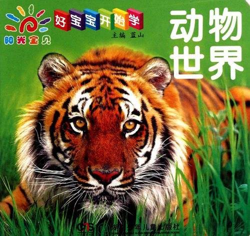 好宝宝开始学
