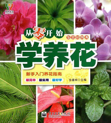 从零开始学养花
