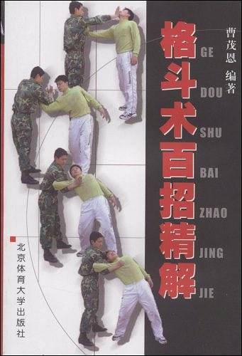 格斗术百招精解