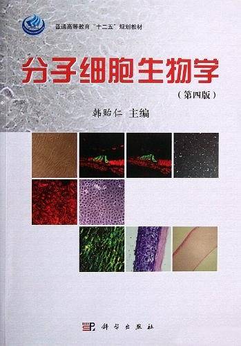 分子细胞生物学
