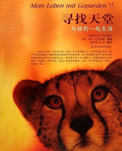 寻找天堂与猎豹一起生活