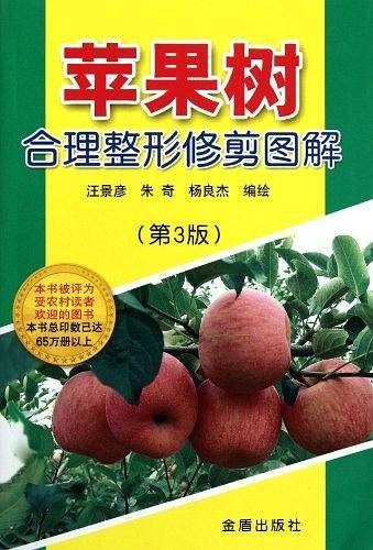 苹果树合理整形修剪图解