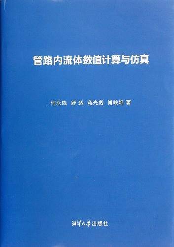 管路内流体数值计算与仿真