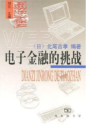 电子金融的挑战