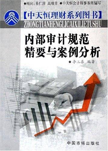 内部审计规范精要与案例分析——中天恒理财系列图书