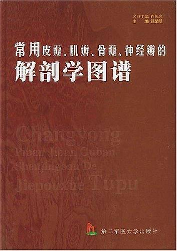 常用皮瓣、肌瓣、骨瓣、神经瓣的解剖学图谱