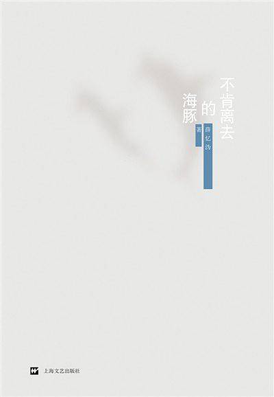 不肯离去的海豚