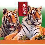 东北虎