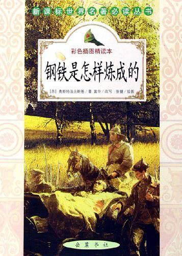 钢铁是怎样炼成的