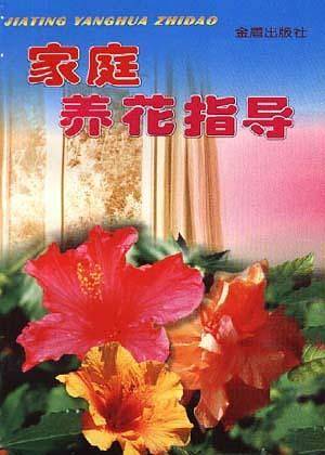 家庭养花指导