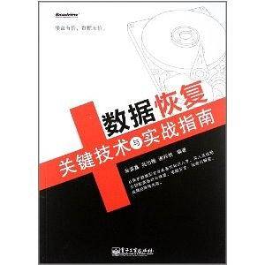 VIP——数据恢复关键技术与实战指南