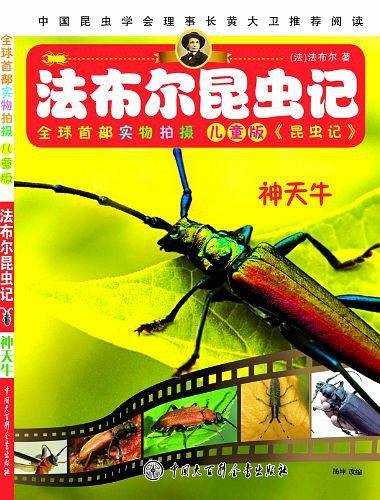 神天牛