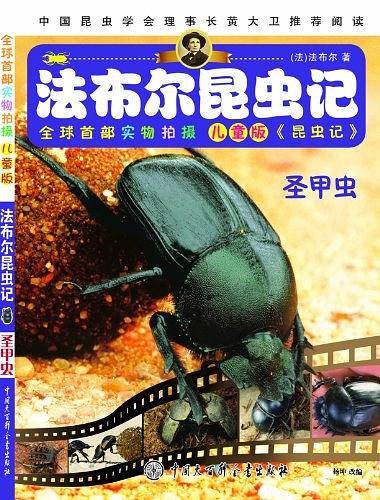 圣甲虫/法布尔昆虫记