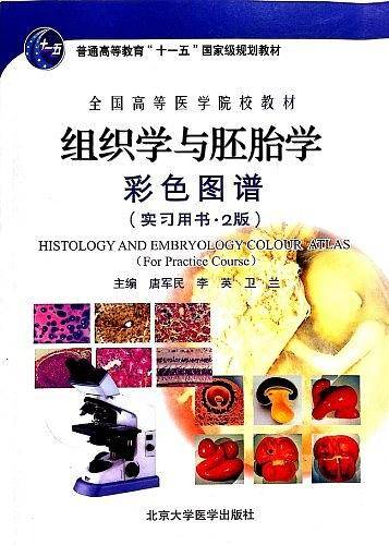 组织学与胚胎学彩色图谱