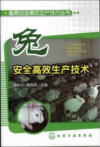 兔安全高效生产技术