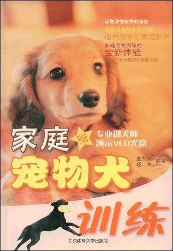 家庭宠物犬训练