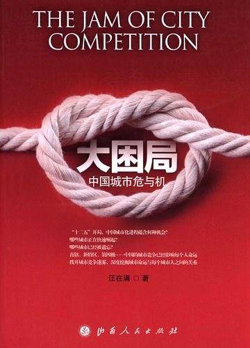 大困局：中国城市危与机