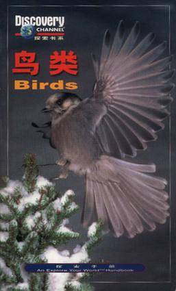 鸟类