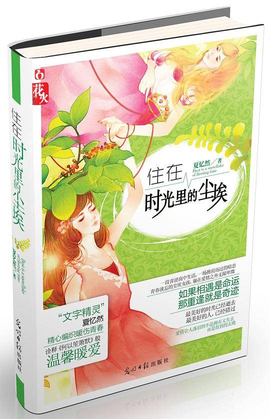 住在时光里的尘埃